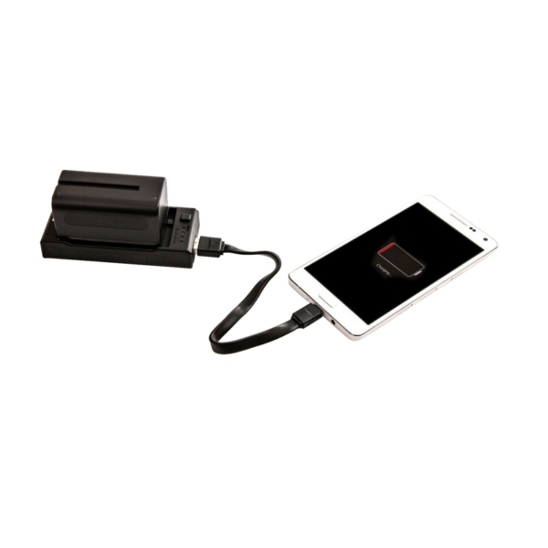 Nanlite CN-58 2-1 charger for NP style battery