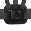 GoPro Chesty