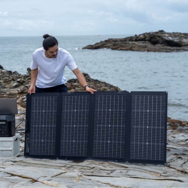 EcoFlow Solar Panel 220W