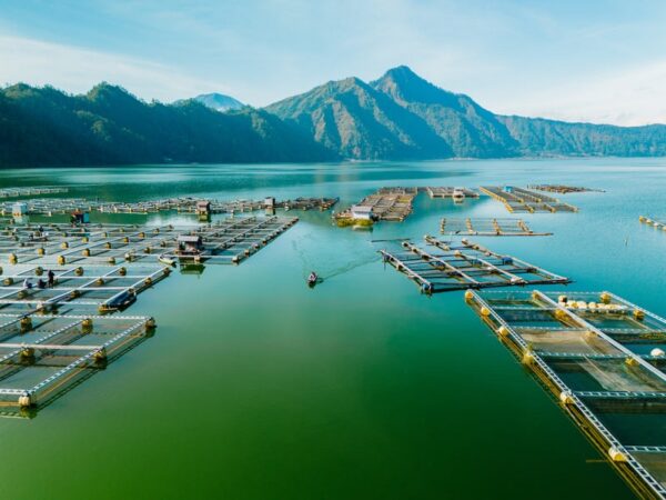 Freewell Air 3S Filters - ND/PL - 8/16/32/64