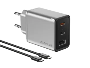 "EcoFlow RAPID 65W