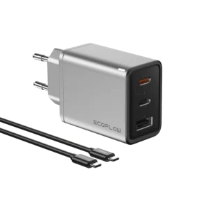 "EcoFlow RAPID 65W