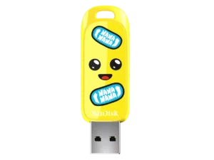 "Sandisk Flash" atmintinė "Peely