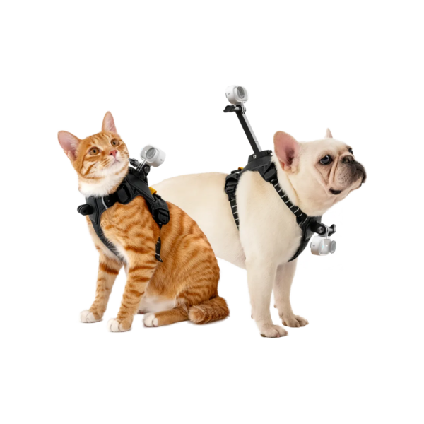 Insta360 GO 2 Pet Strap Mount