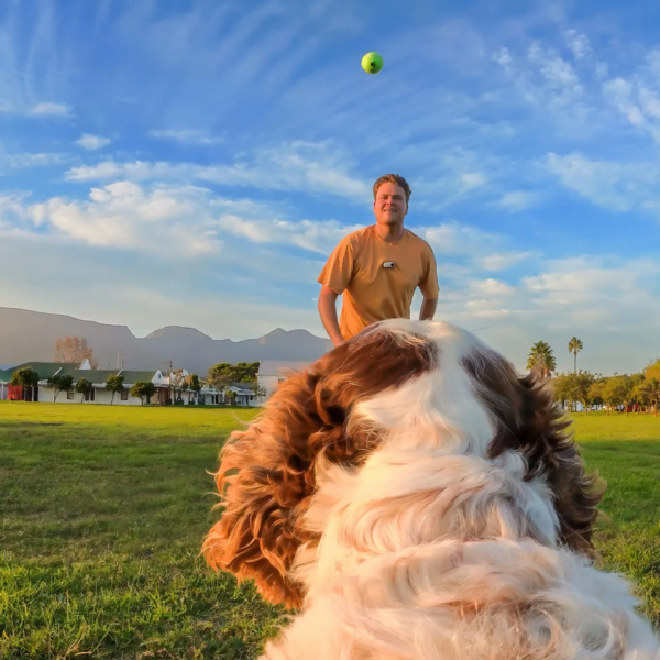 Insta360 GO 2 Pet Strap Mount