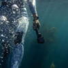 GOPRO HANDLER