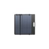 EcoFlow Lightweight Portable 220W