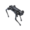 Aliengo