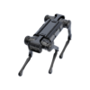Aliengo