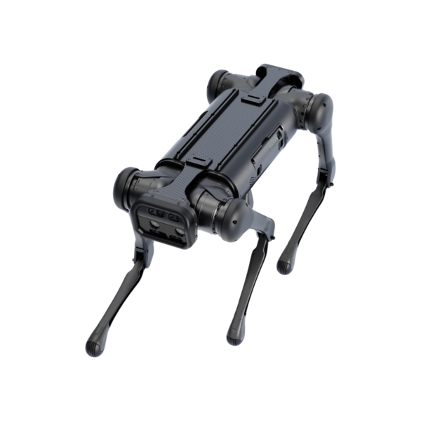 Aliengo