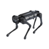 Aliengo