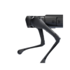 Aliengo