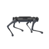 Aliengo